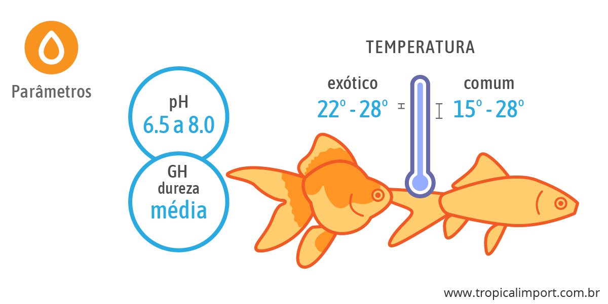Parâmetros do aquário para kinguios