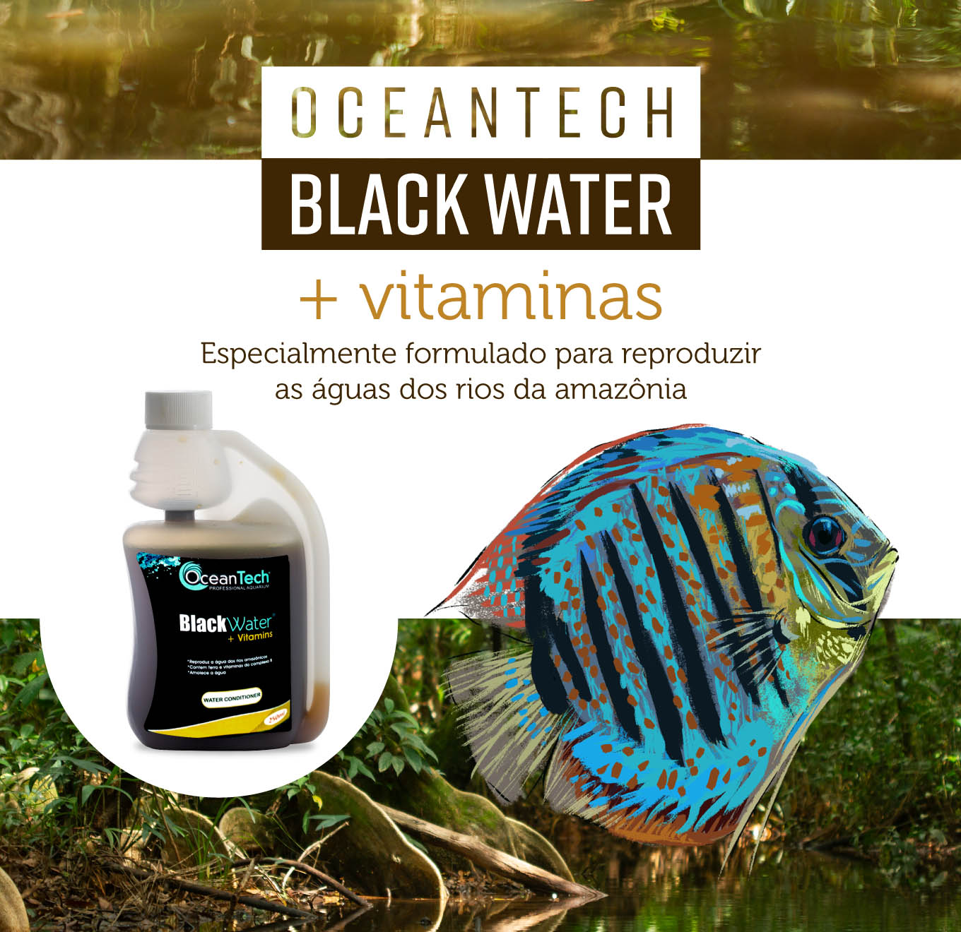 Black Water + Vitamins