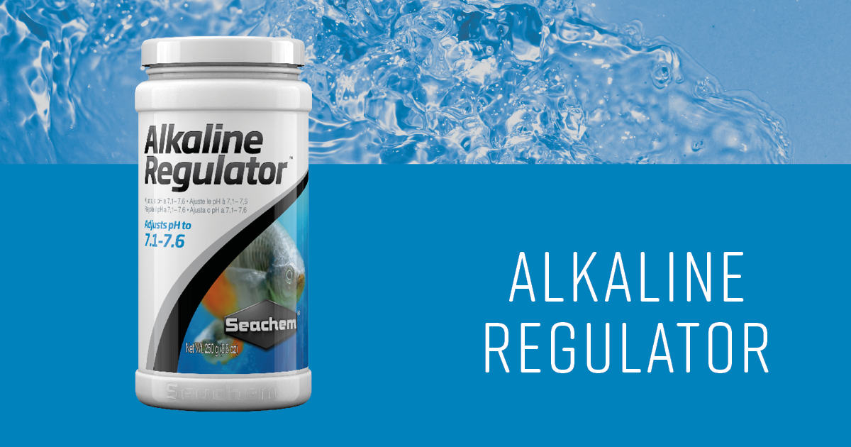 Seachem - Alkaline Regulator