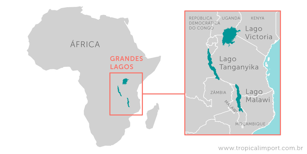 Mapa Lagos (Malawi, Tanganyika ou Victória)