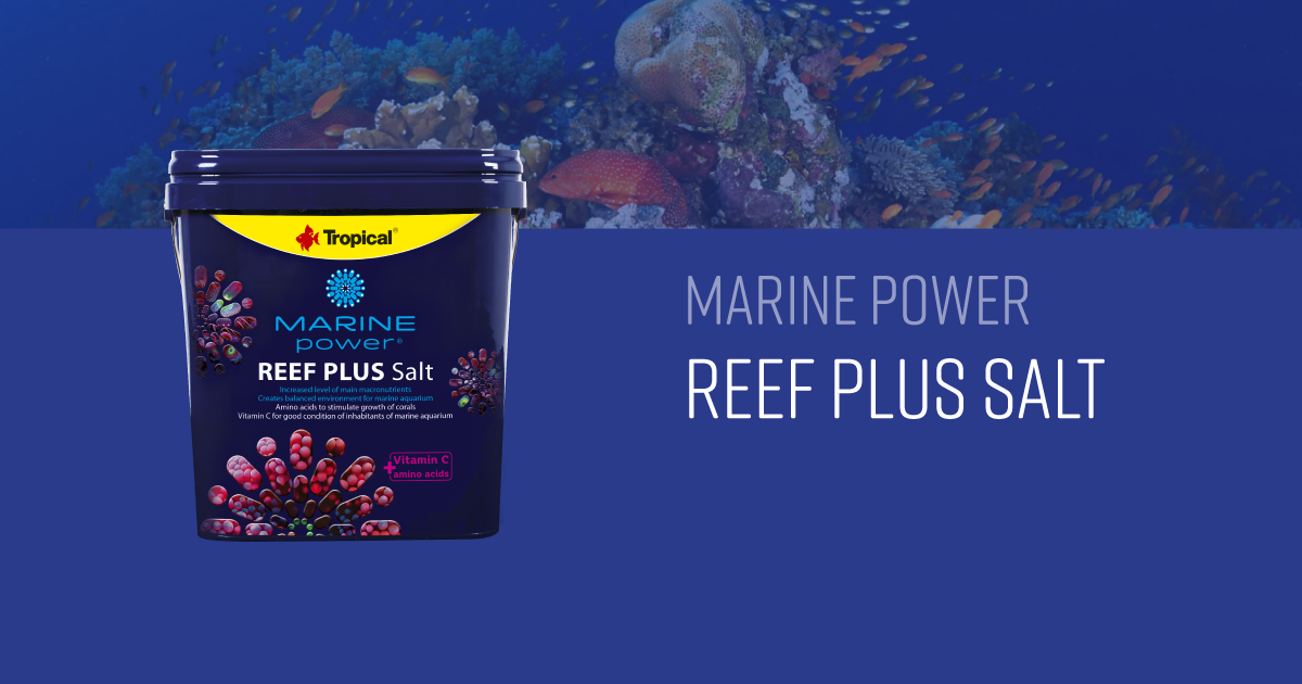 Marine Power Reef Plus Salt