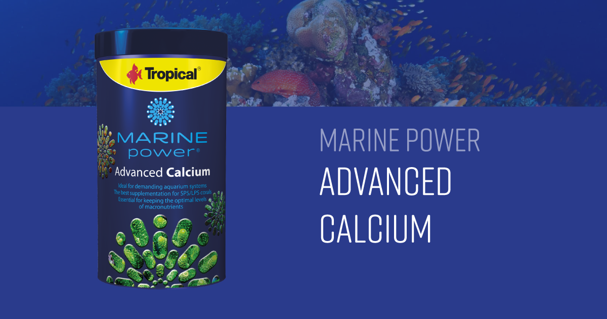 Marine Power Advanced Calcium
