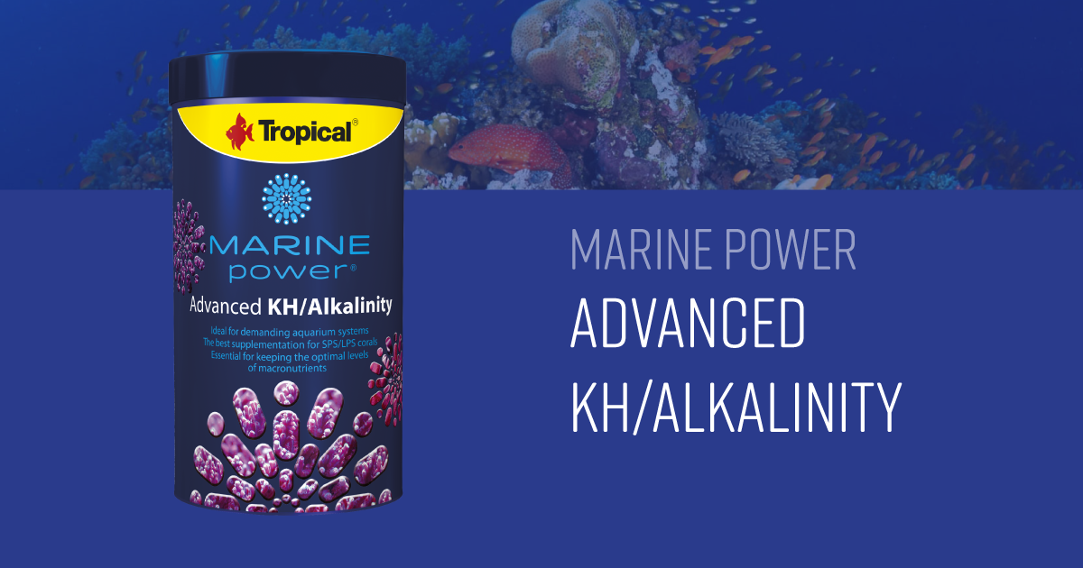 Marine Power Advanced Kh/Alkalinity
