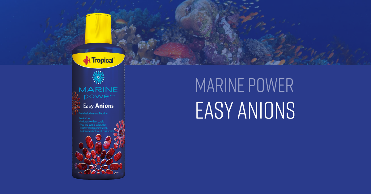 Marine Power Easy Anions