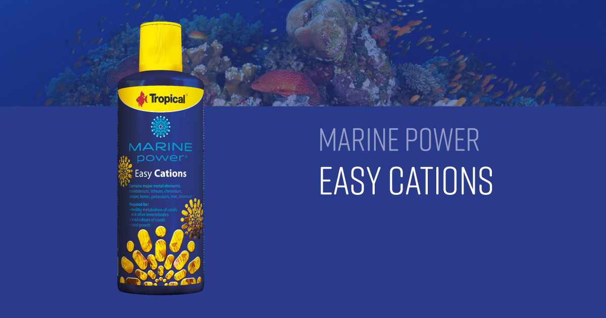 Marine Power Easy Cations