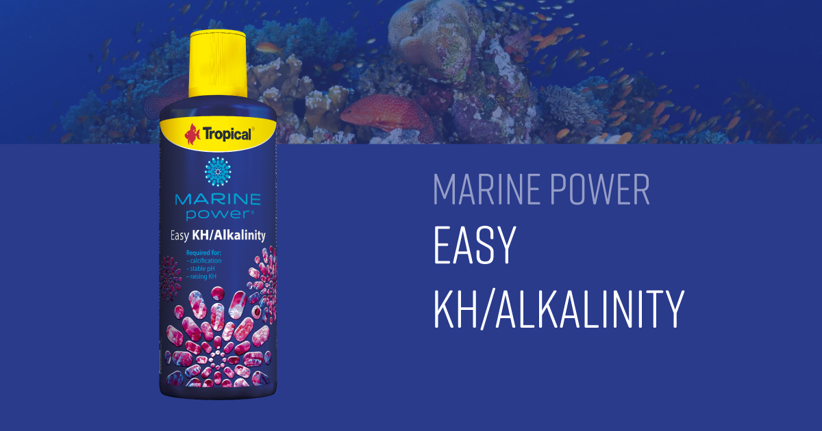Marine Power Easy Kh/Alkalinity
