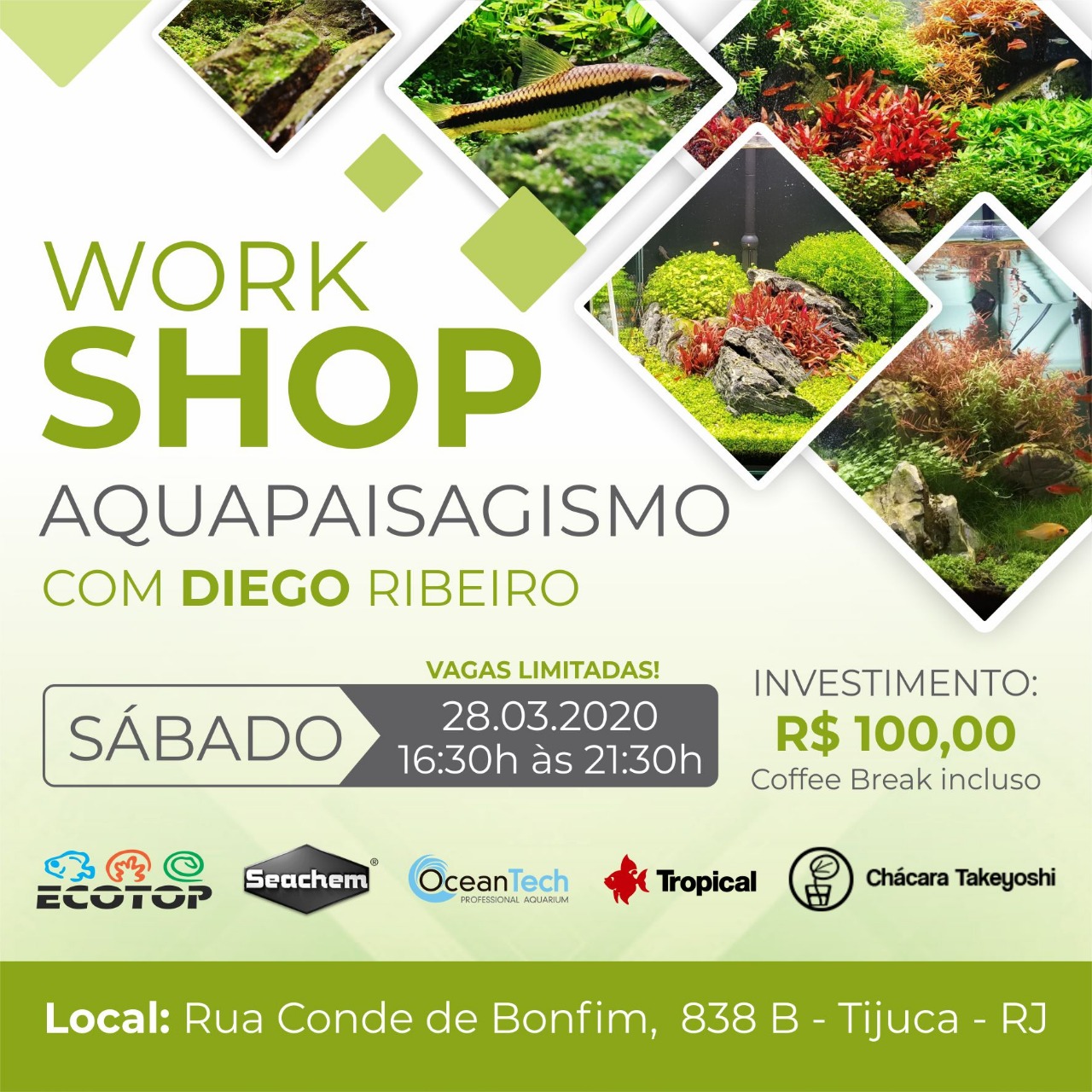 Workshop de aquapairagismo na loja Ecotop