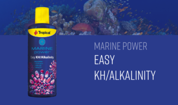 Marine Power Easy Kh/Alkalinity