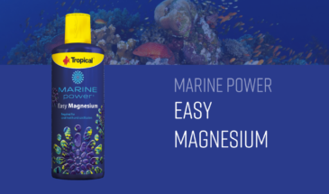 Marine Power Easy Magnesium