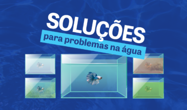 Saiba nesse artigo como resolver problemas comuns no aquário utilizando OceanTech
